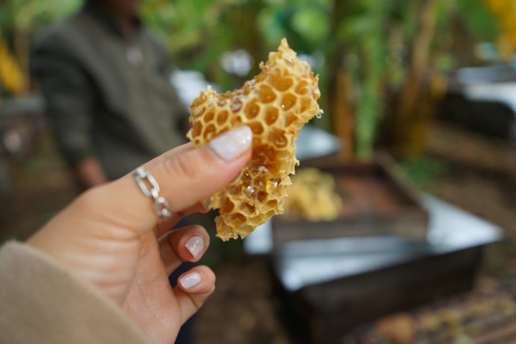 ハニーケーキお土産ベトナム